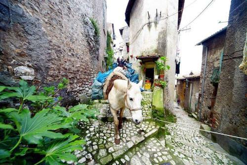 Bed & Breakfast Rupe Antica