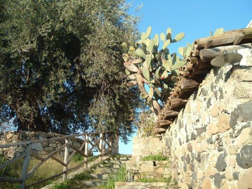 Agroturismo Antico Borgo Agriturismo