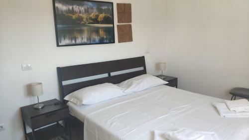 Bed & Breakfast Airport Guest House Pisa