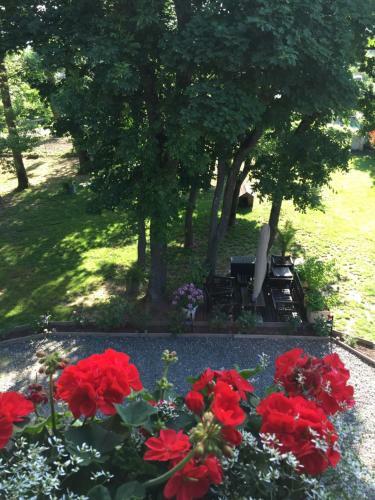 Bed & Breakfast L'orangerie