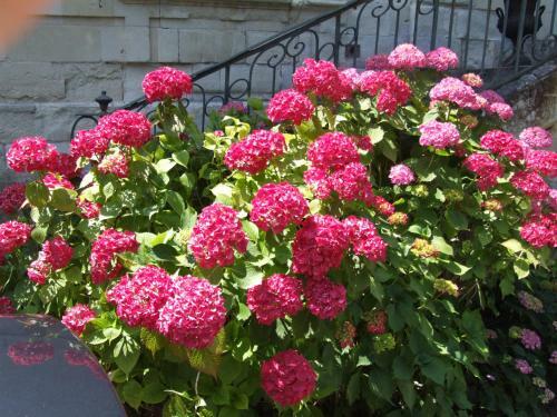 Bed & Breakfast Ch�teau De Beaulieu
