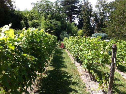 Bed & Breakfast Ch�teau De Beaulieu