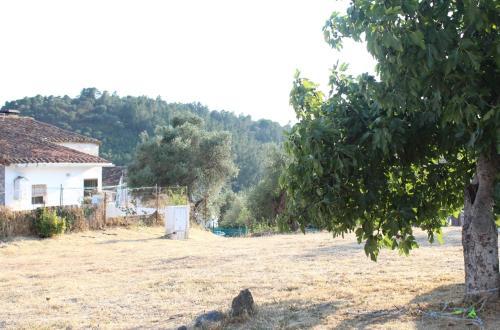 Agroturismo Casas Rurales Los Montes