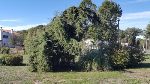 Bed & Breakfast B&amp;b Villa Imperiale