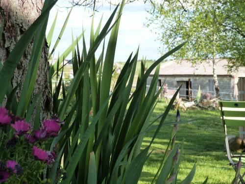 Bed & Breakfast Chambres D'h�tes Le Cartounier