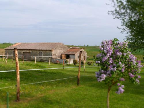 Bed & Breakfast Chambres D'h�tes Le Cartounier