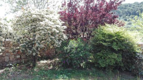Giardini Irlandesi B&B