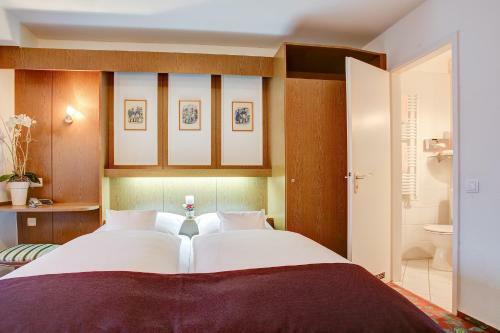 Hotel Consul