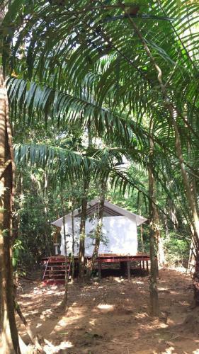 Sabalo Lodge