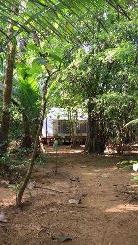 Sabalo Lodge