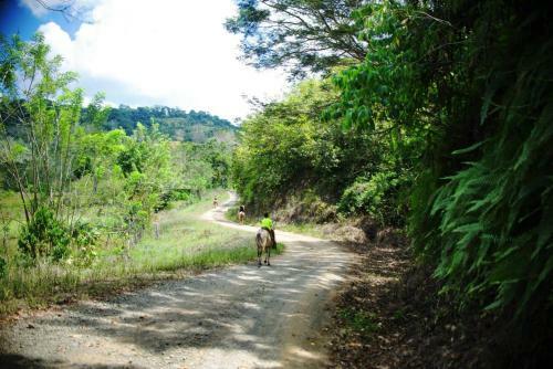 Sabalo Lodge