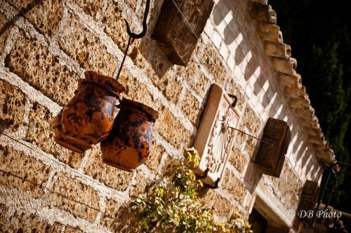 Agroturismo Country House La Cipolla D'oro