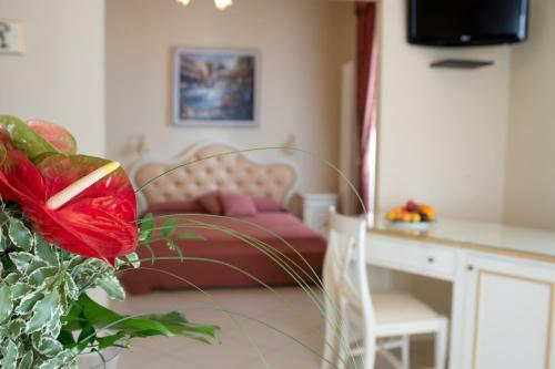 Hotel Mayer & Splendid