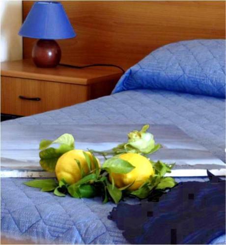 Canap� Apartaments