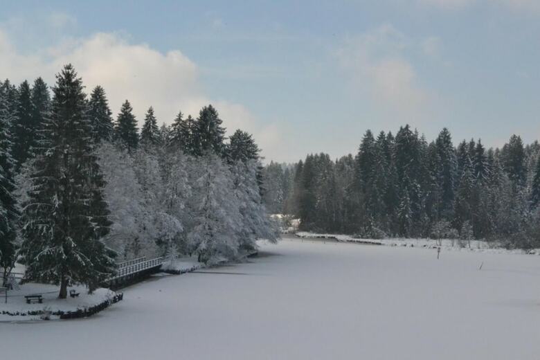 Hotel Waldsee