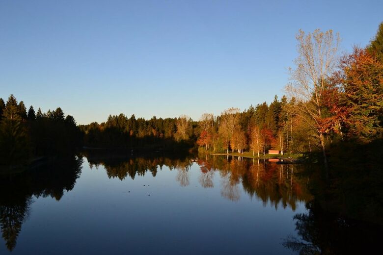 Hotel Waldsee