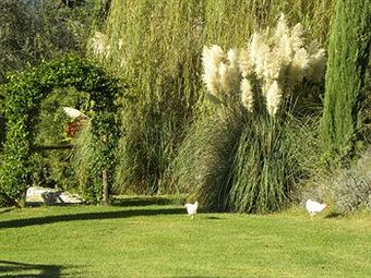 Agroturismo Country Resort Il Frassine