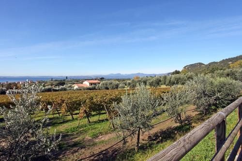 Apartamento Appartamenti Vignol 2