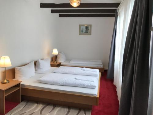 Ritter Hotel