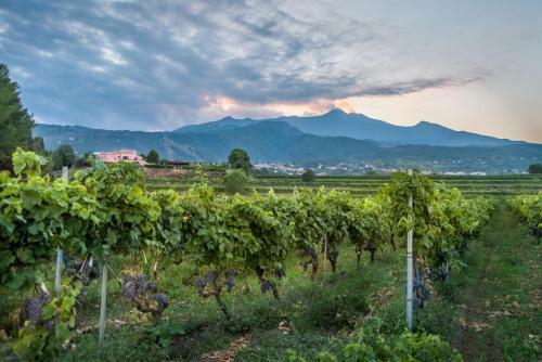 Agroturismo Tenuta San Michele