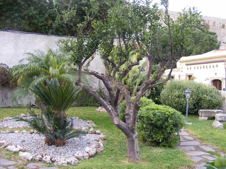 Bed & Breakfast L'antico Borgo