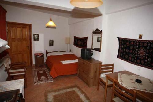 Hostal Arka Metsovo