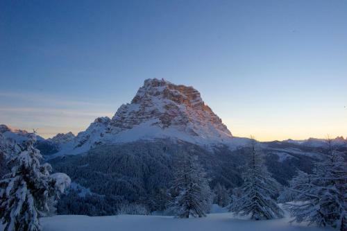 Bed & Breakfast Rifugio Palafavera