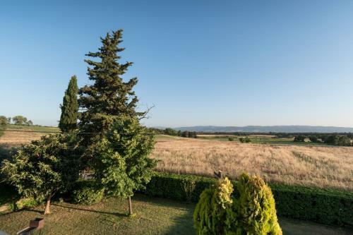Bed & Breakfast Al Pian D'assisi