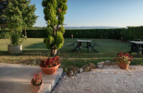Bed & Breakfast Al Pian D'assisi