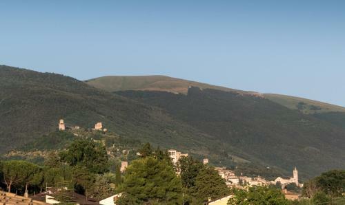 Bed & Breakfast Al Pian D'assisi