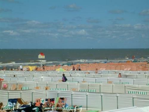 Hotel Alizee