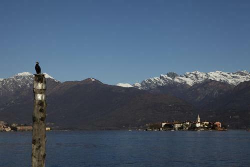 Hotel Villa Toscanini