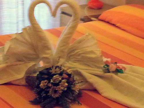 Amarfia Bed & Breakfast - Your Home In Salerno