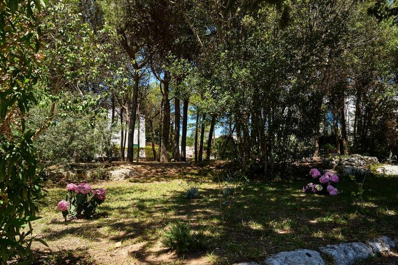 Hostal Tenuta Belvedere