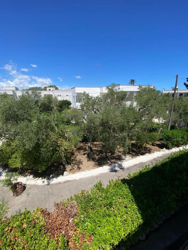 Hostal Tenuta Belvedere