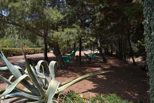 Apartamento Villa Alice