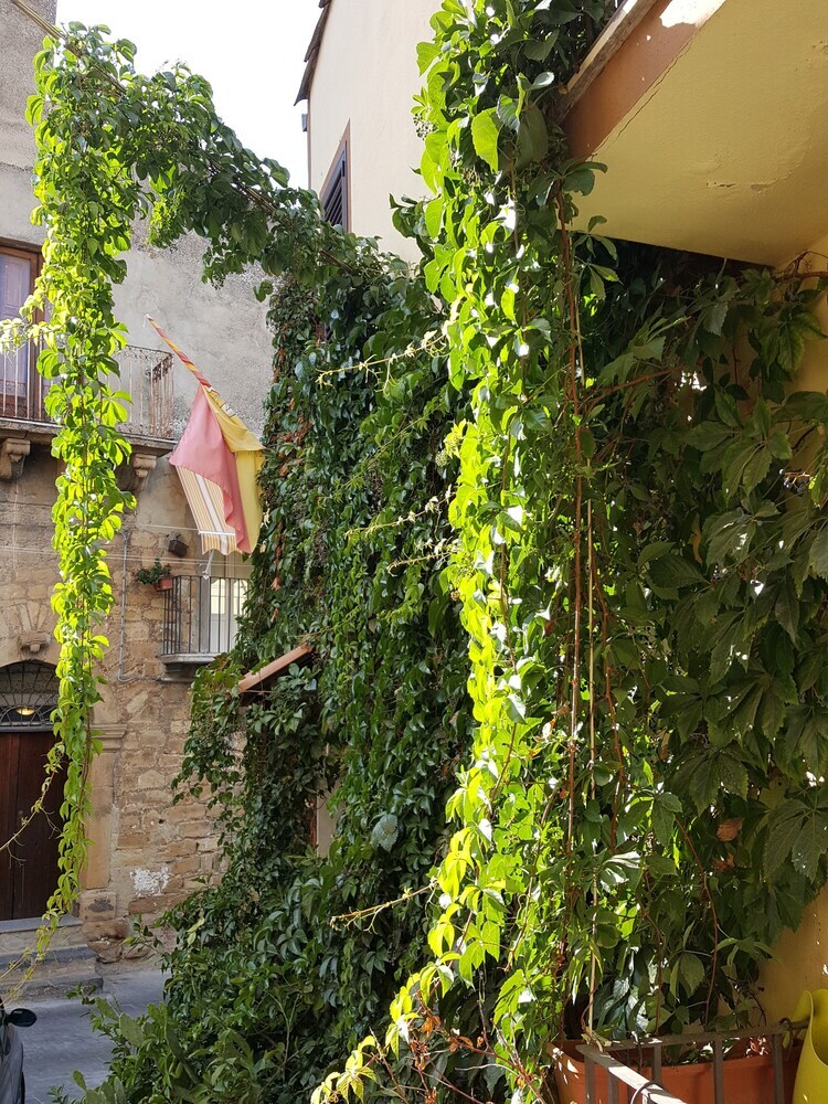 La Volpe E L'uva B&B