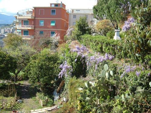 Bed & Breakfast L'oasi