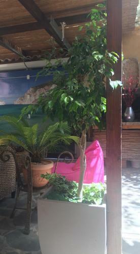 B&B Domus De Janas