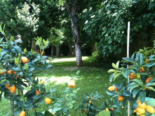 Hostal Palazzo Romani Adami