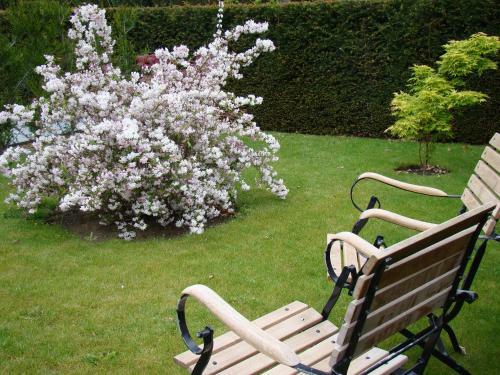 B&B Sogni D'oro