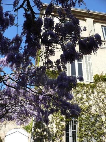 Bed & Breakfast Maison Auguste