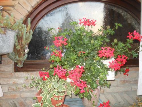 B&B Gli Angeli