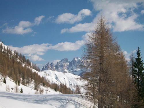 Hotel Pensione Dolomiti