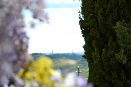 Hotel Certosa Di Pontignano Residenza D'epoca