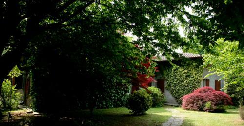 B&B L'albero Maestro