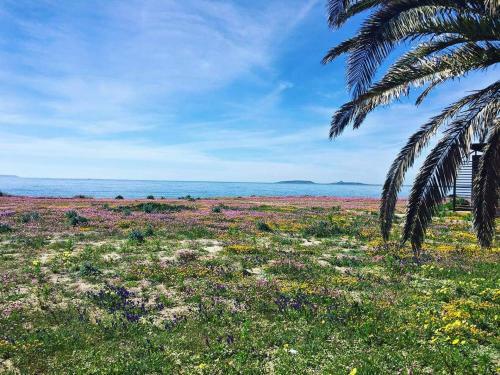 Hostal Affittacamere Al Mare