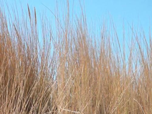 Hostal Pension Fennert