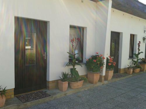 Hostal Pension Fennert