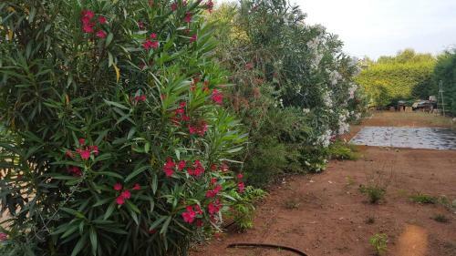 Agroturismo Tenutaverde